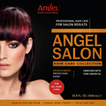 Angel catalog small